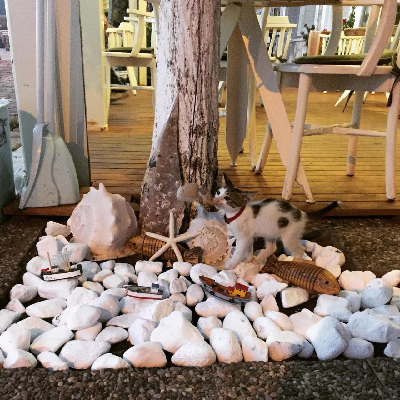 Ayshe Hotel Foça Buitenkant foto